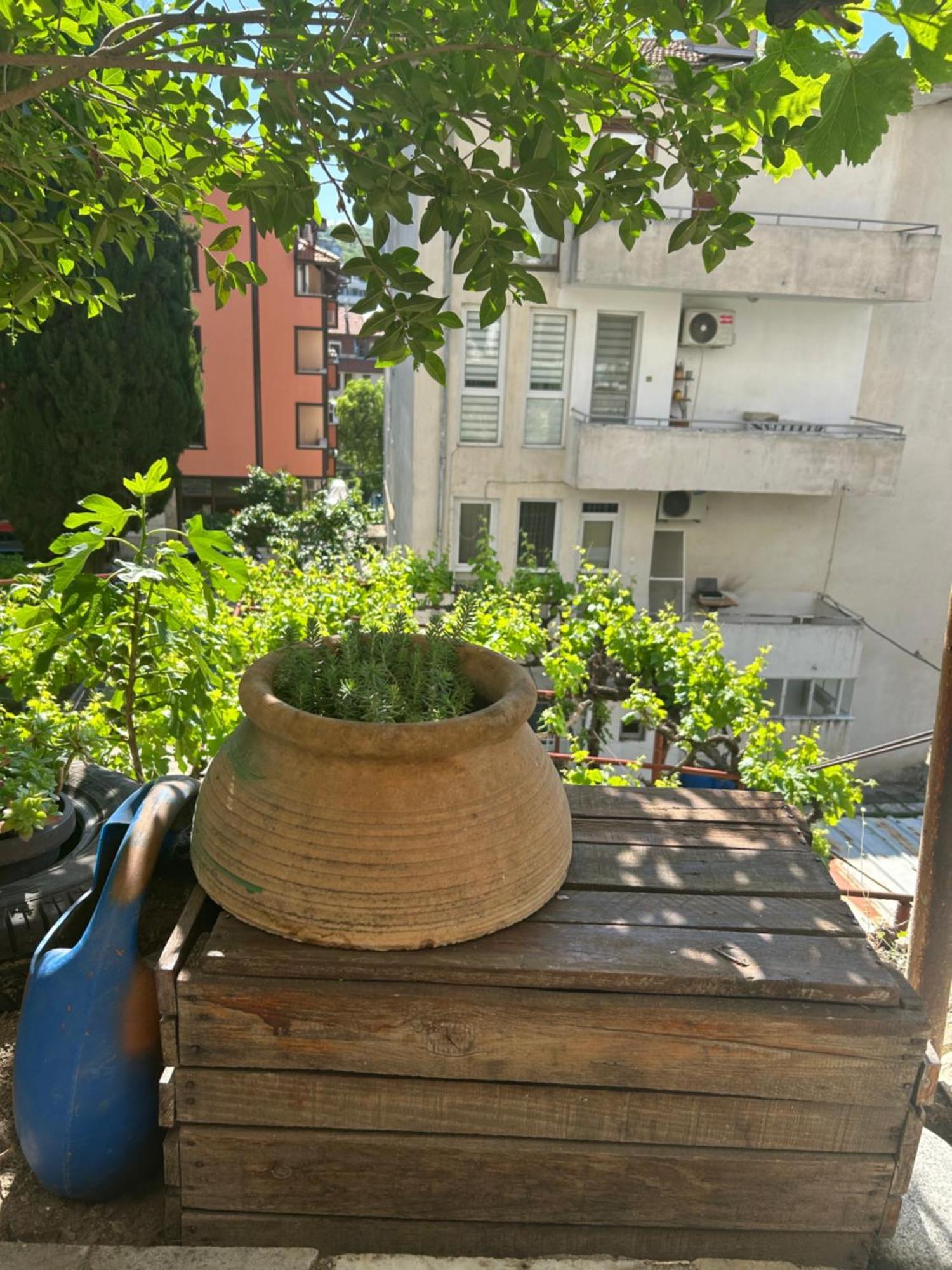 Apartament Didi House Sandanski Zewnętrze zdjęcie
