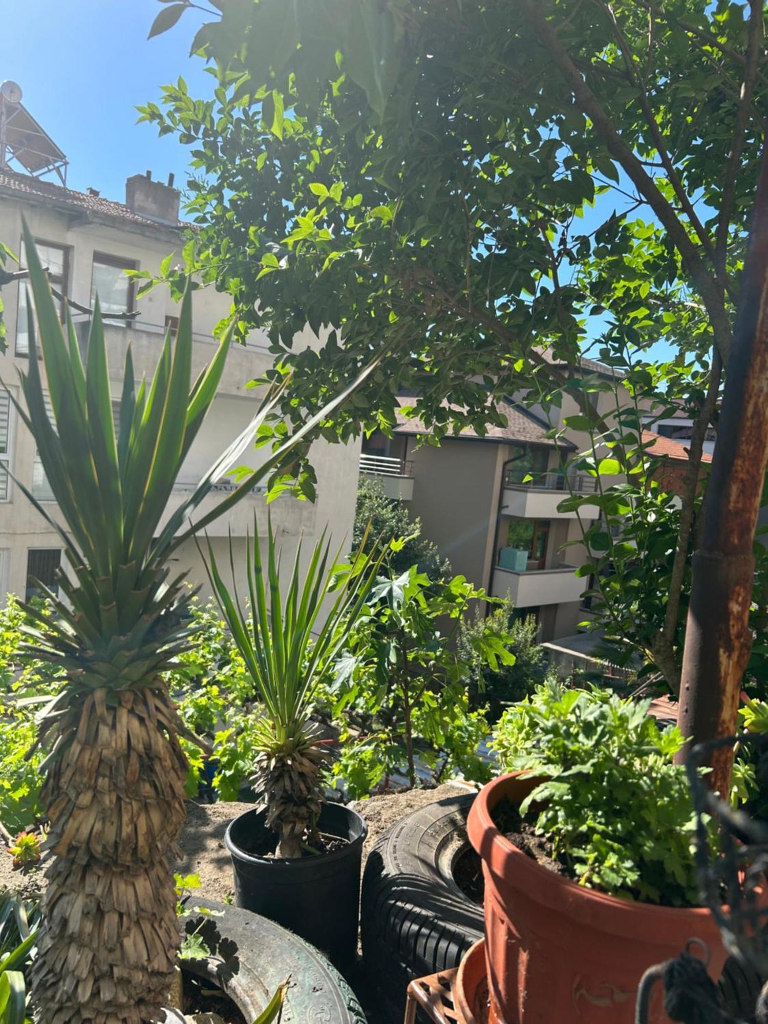 Apartament Didi House Sandanski Zewnętrze zdjęcie