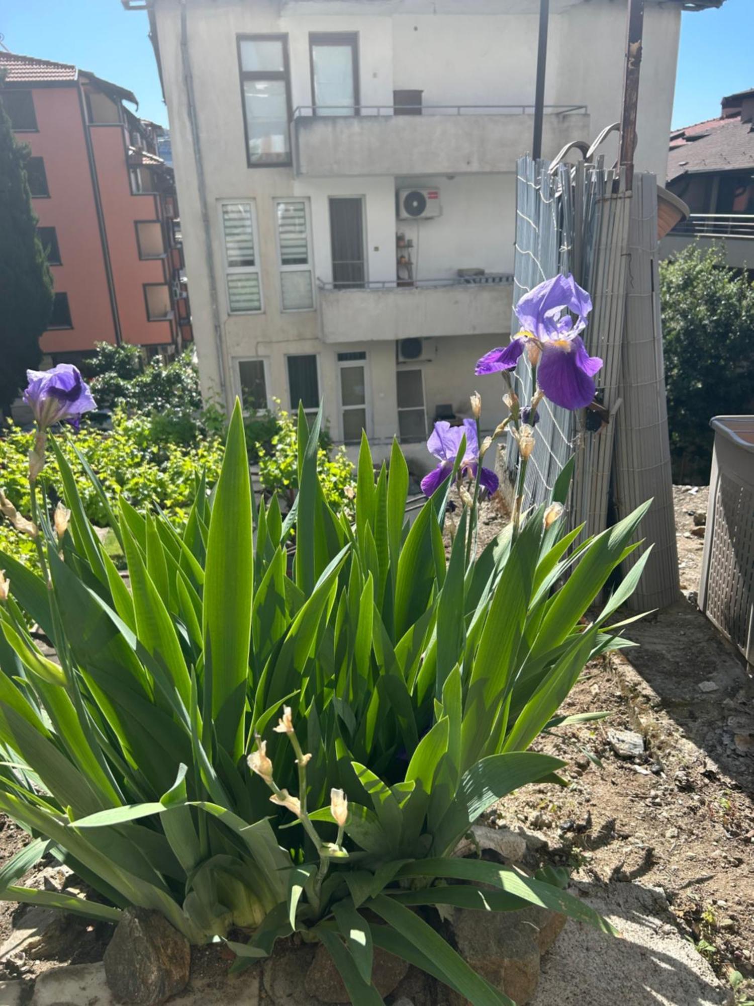 Apartament Didi House Sandanski Zewnętrze zdjęcie
